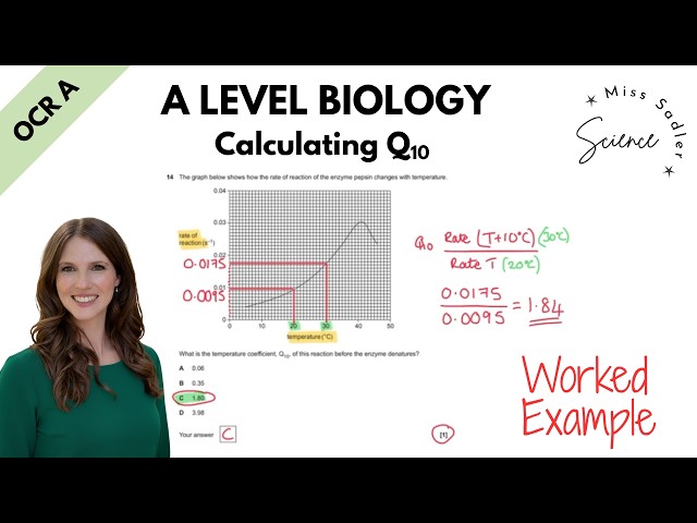 A Level Biology Calculating Q10 Worked Example.