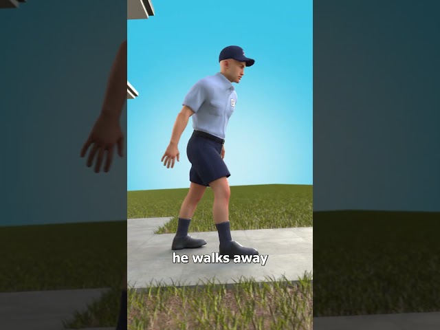 The Stranger From A Dog’s POV 😮
