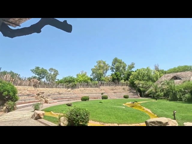 The Bird Show Bioparc Valencia