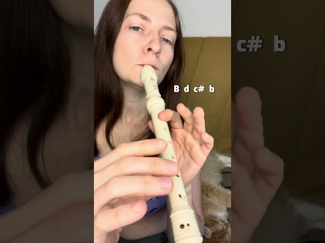 Långdans från Öland | Recorder TUTORIAL (baroque system)