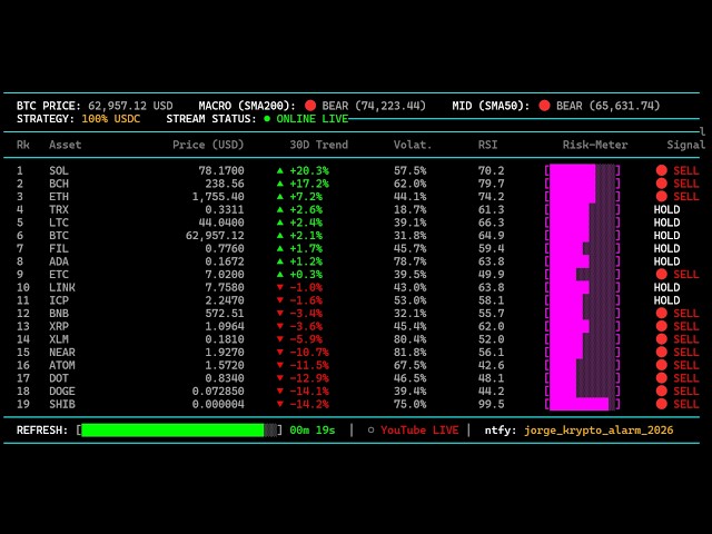 LivestCrypto Live Signals & Market Update 24/7 – Pionex Bot Tickerream von tuberonauta