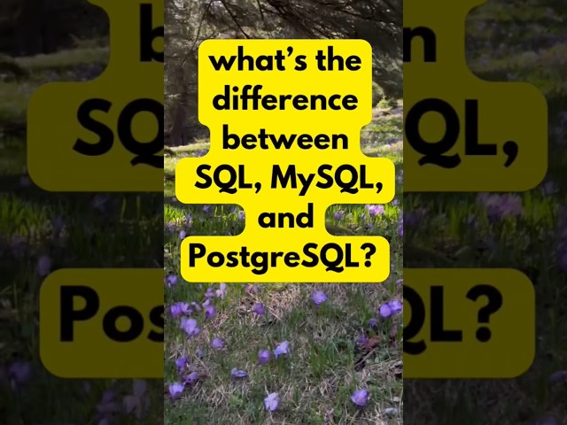 SQL vs MySQL vs PostgreSQL in less than 60 Seconds! 💥 #sql #sqlforbeginners