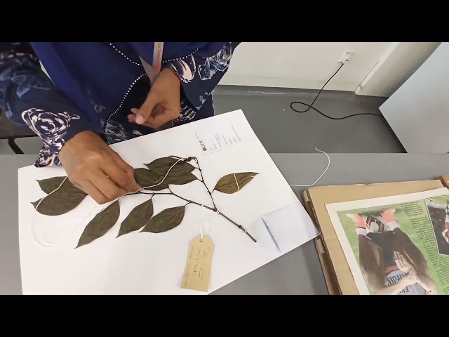 STEP 4 MOUNTING & STICHING METHOD 1