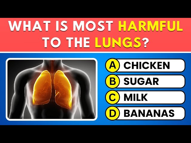 Can You Pass This Ultimate General Knowledge Test? 🎓 100 Trivia Quiz Questions! 📚