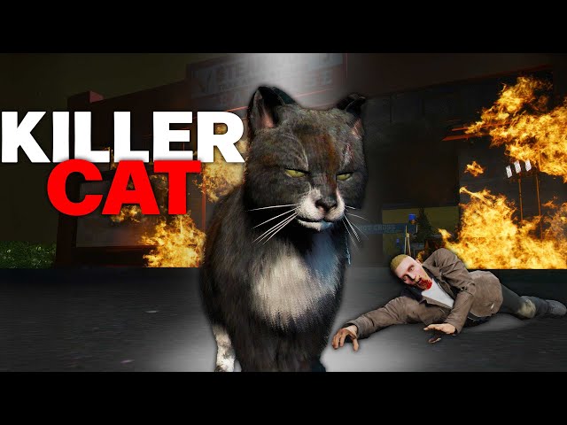 BLACK CAT GIVES PLAYERS BAD LUCK.. (GTA 5 RP)