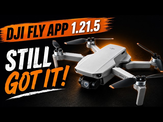 DJI Fly App Update 1.21.5 Tested the Mini 2 (Still Going Strong)