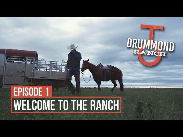 Welcome to Drummond Ranch! An Overview of the Operation
