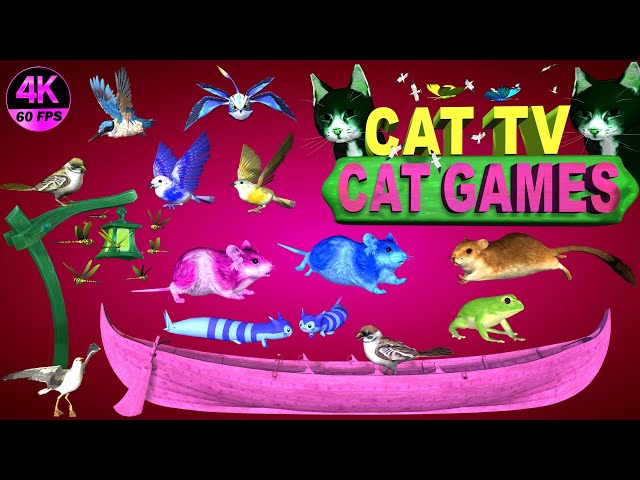 CAT GAMES COMPILATION | BEST CAT GAMES ON SCREEN | CAT ENTERTAINMENT VIDEOS MOUSE & BIRDS 4K-8 HOURS