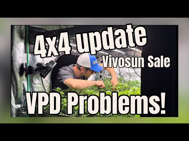 VIVOSUN Grow Tent Update – Fighting VPD While Chasing 2 Pounds! #garden #plants #organic 