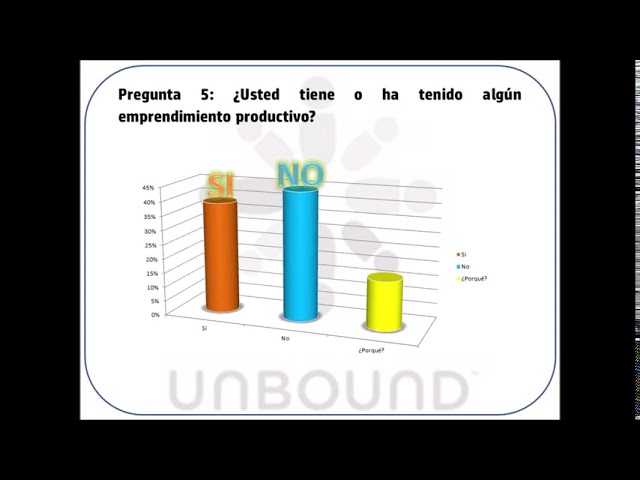 SOCIALIZACIÓN ENCUESTA PROGRAMAS DE AUTOSUSTENTO UNBOUND