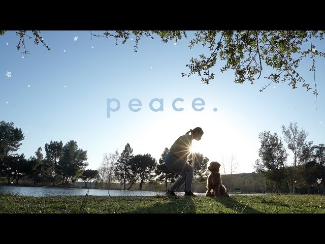 How to Find Inner Peace Through Detachment