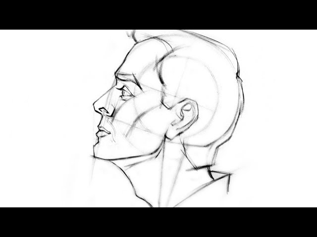 How to Draw the Head - Side View