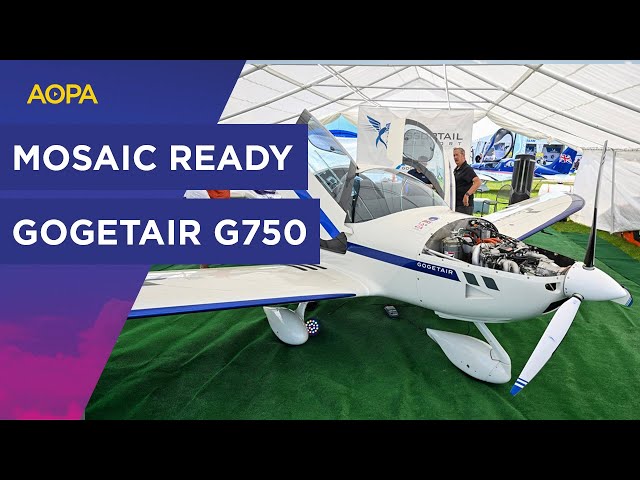¿El futuro del LSA? - El avión GOGETAIR G750 MOSAIC