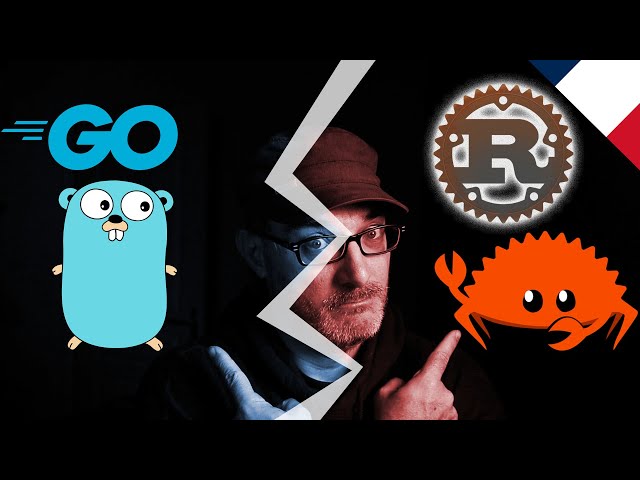 Go vs Rust lequel apprendre en 2024 ?