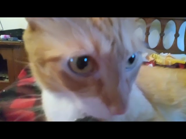 oskar's first video