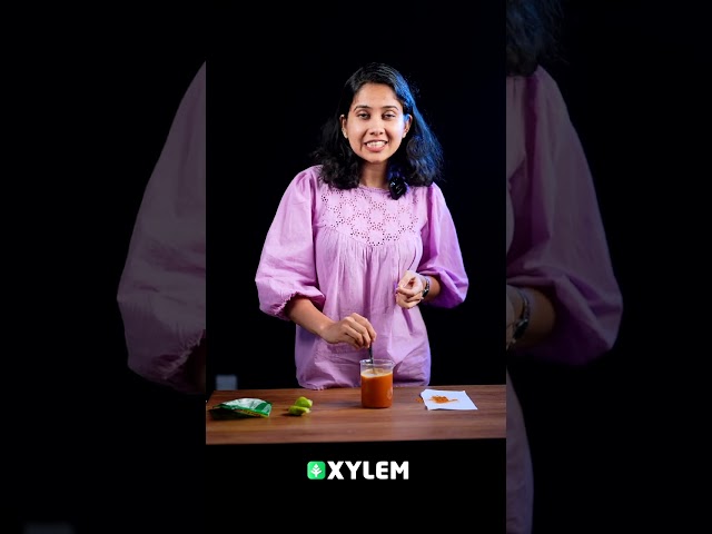 ഒരു Colorful  മാജിക്ക് ചെയ്തല്ലോ❗| Xylem Class 5