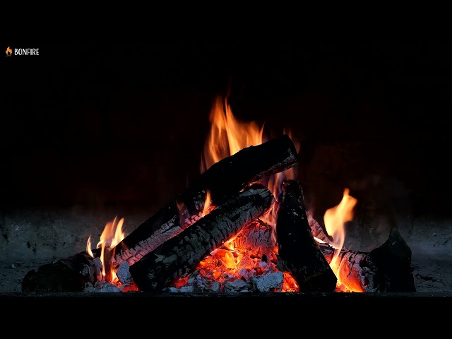 Night Campfire with Dark Background Video - 12 Hours Burning Fire Sounds & Black Screen for Sleep