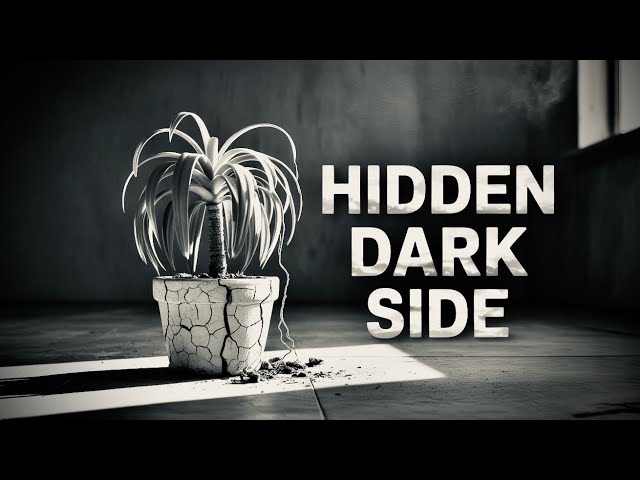 The Dark Side Of Self-Improvement Nobody Talks About