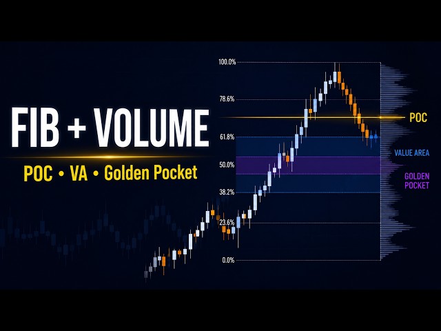 Fibonacci Volume Profile Indicator for TradingView | POC & Golden Pocket