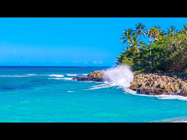 Relaxing Waves of a Tropical Island at Your Home Right Now - Teleport Yourself!