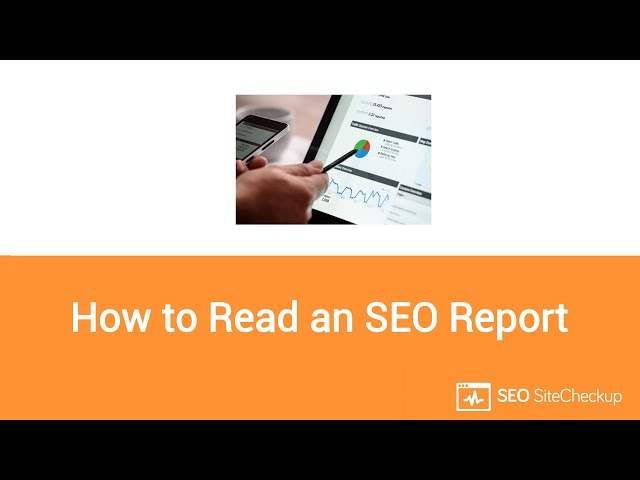 How to Read an SEO Report