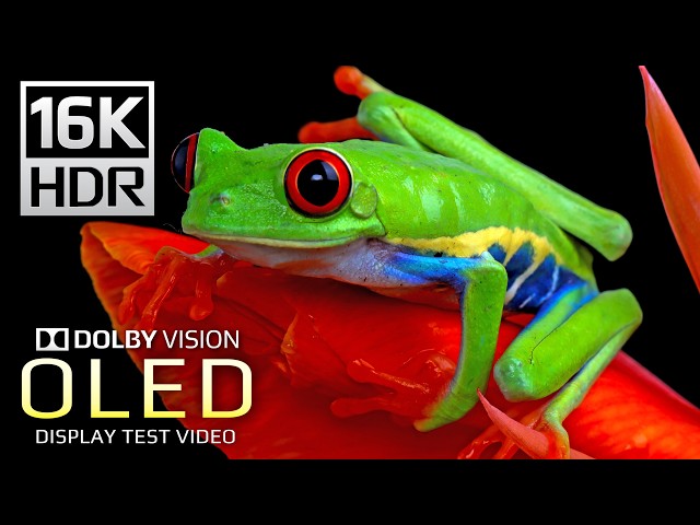 The Clarity 16K HDR 120 fps Video - Dolby Vision (8K Video) #4k #8k #hdr