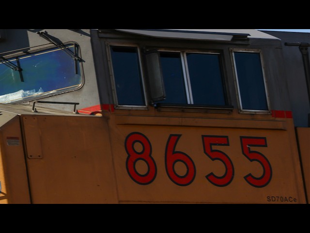 Union Pacific 8655 Appears from Behind the Trees at Estrella | VR180