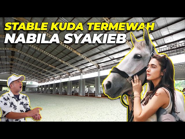 MELONGO..! STABLE KUDA NABILA SYAKIEB BIKIN IRII..!!
