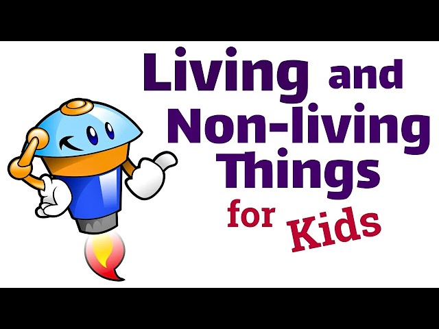 Living and Non-Living Things for Kids | Science Lesson