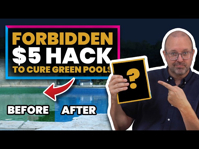 The $5 “Forbidden” Grocery Aisle Hack That Cures Green Pools FOREVER