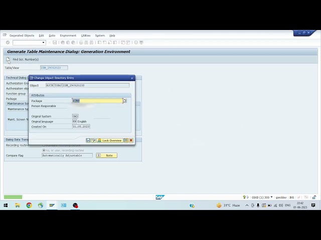 How to set TMG (Table Maintenance Generator) of a table in SAP