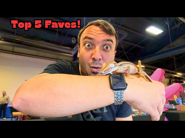 Top 5 COOLEST Reptiles!!!