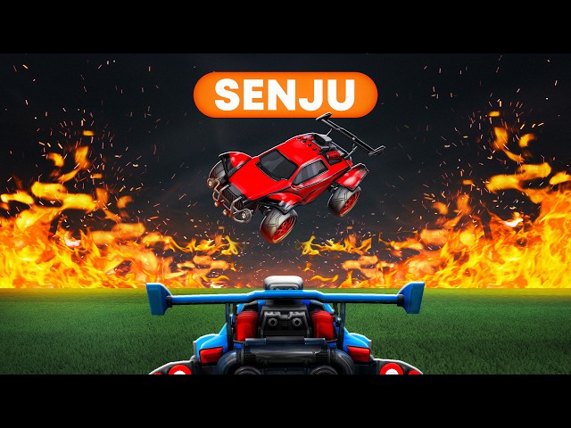 Meet Senju... ⚠️
