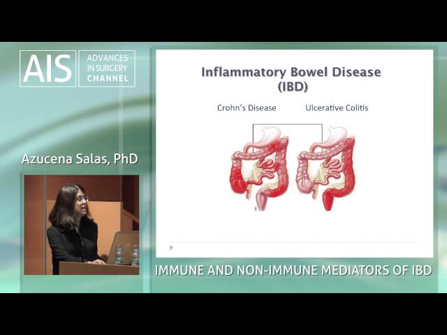 Immune and non-immune mediators of Inflammatory Bowel Disease (IBD)