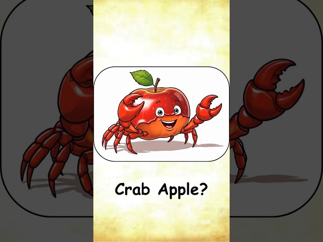 Top Literal vs Real Meaning of English Compound Words