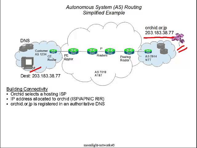 Interconnection and Routing Protocols