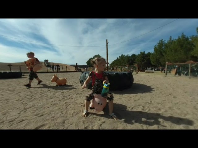 Pumpkin patch 4