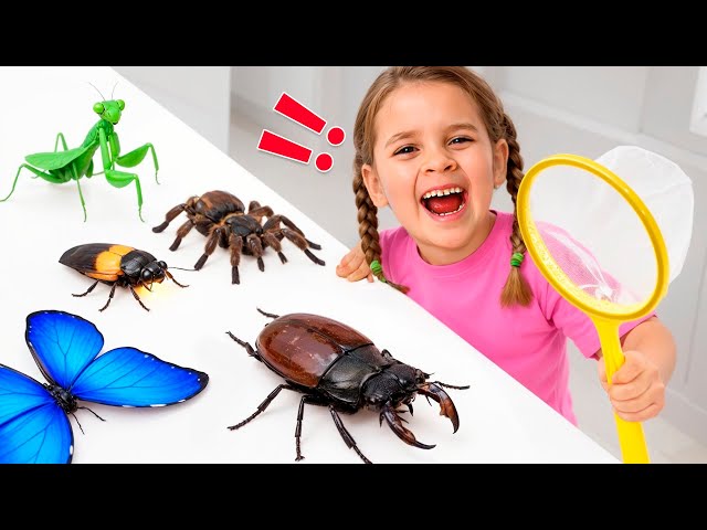 Catch the Magical Insects with Mia and Friends!
