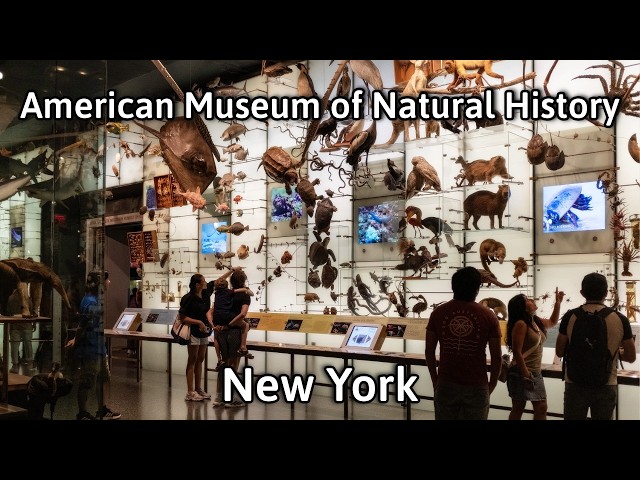 American Museum of Natural History Tour - New York City | 4K