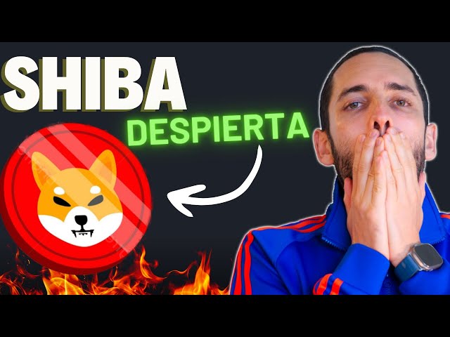 Si eres Holder de SHIBA INU Mira Esto antes Del BULLRUN!!