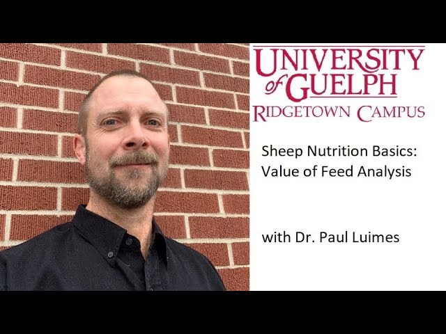 Sheep Nutrition Basics:  Value of Feed Analysis