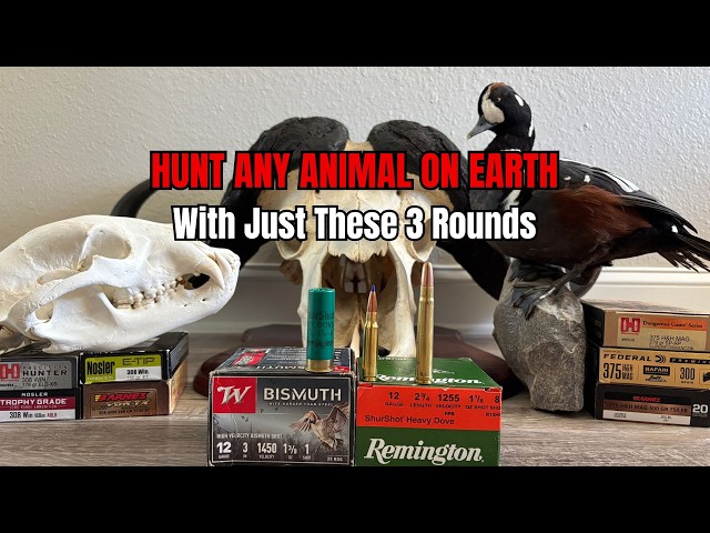 The Only 3 Cartridges You Actually Need for Hunting
