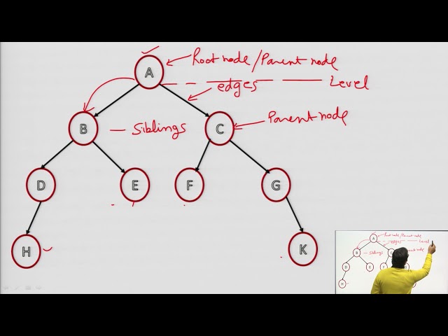 Basic Terminology in Binary Tree, Strictly Binary Tree, Complete Binary Tree, Almost Complete