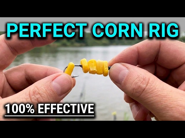 How to Tie the Best Carp Rig with Corn for Trophy Carp