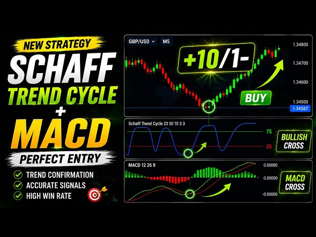 Schaff Trend Cycle + MACD Strategy | Perfect Entry Confirmation Explained