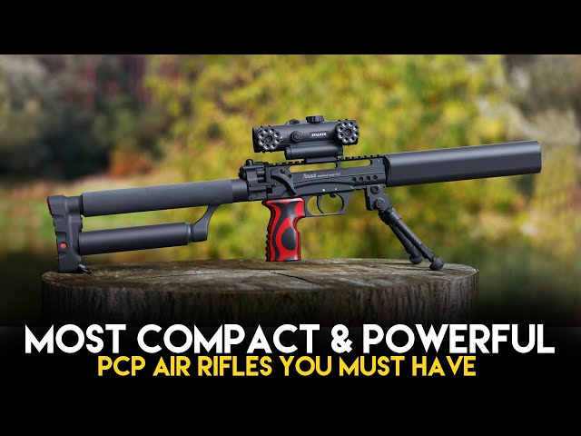 Top 5 Compact and Powerful PCP Air Rifles You Must Have