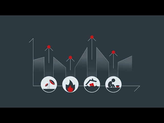 Animated Explainer Video for Impact Investing / Tech Explainer Video / AI powered SaaS