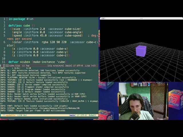 Interactive Raylib with Common Lisp