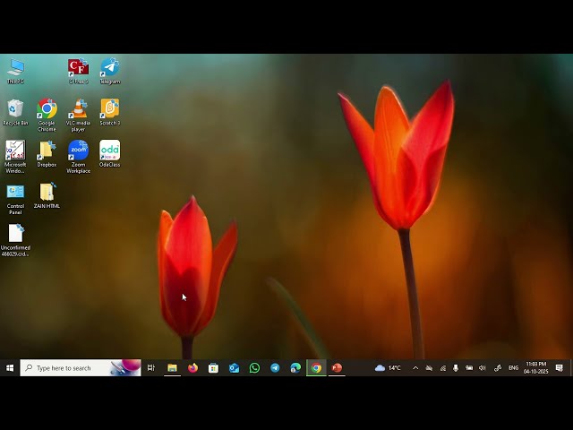Learn HTML5 & CSS3 BASICS