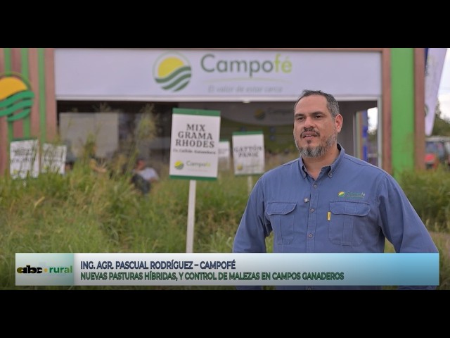 Recuperar campos y nuevas pasturas híbridas: propuesta de Campofé